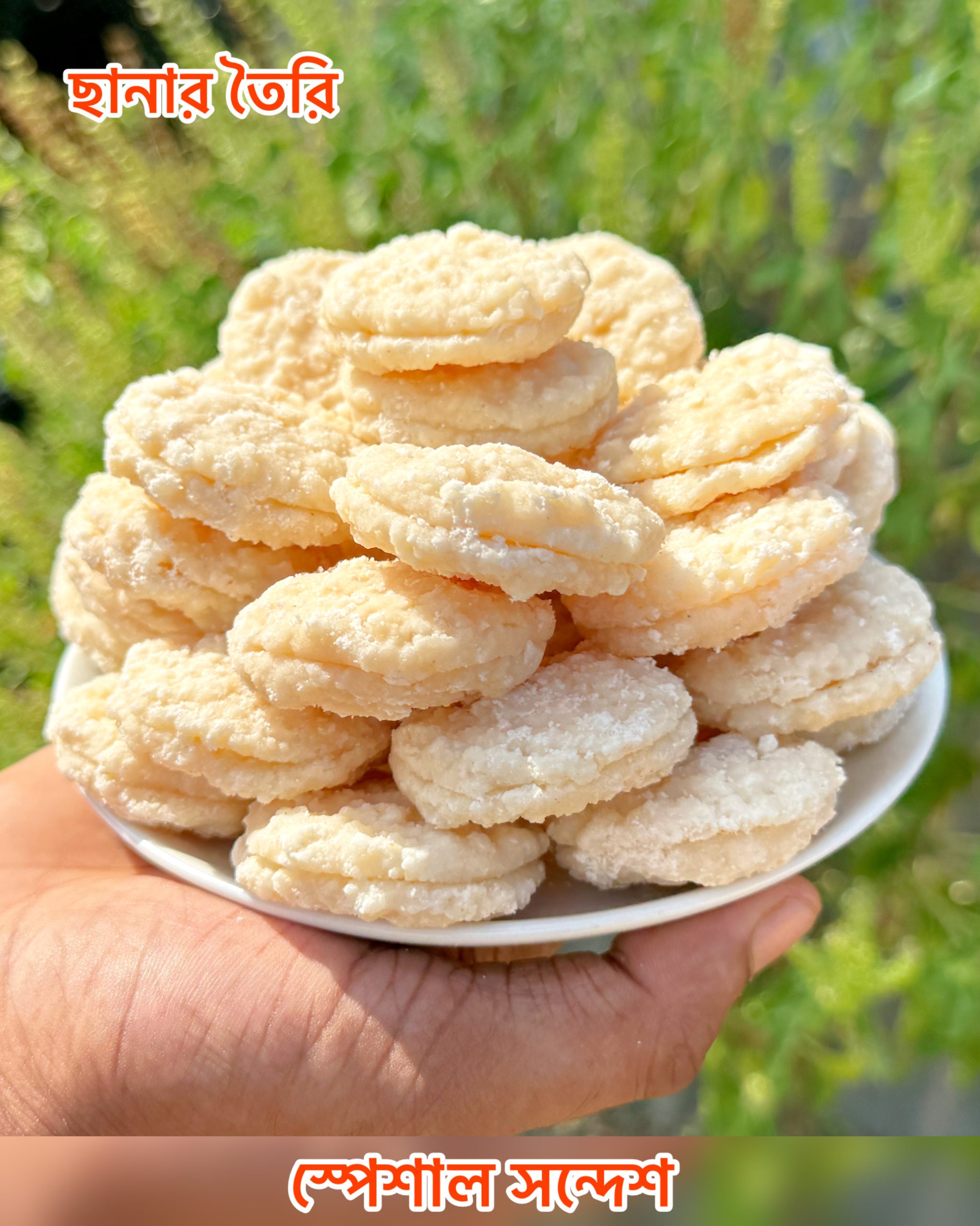 ছানা মুখি সন্দেশ পরিমাণ-১২০০ গ্রাম ফুল বক্স
